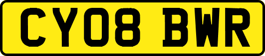 CY08BWR