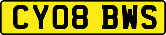 CY08BWS