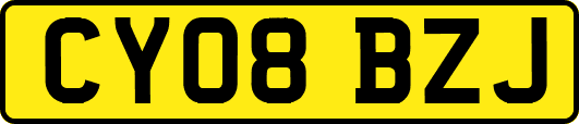 CY08BZJ