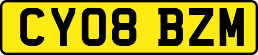 CY08BZM