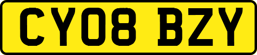 CY08BZY