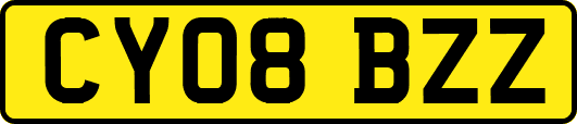 CY08BZZ