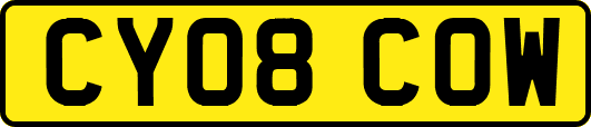 CY08COW