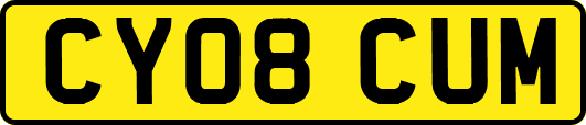 CY08CUM