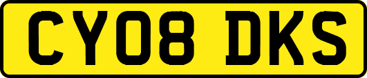 CY08DKS