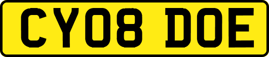 CY08DOE