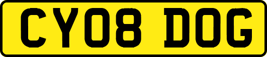 CY08DOG