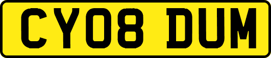 CY08DUM