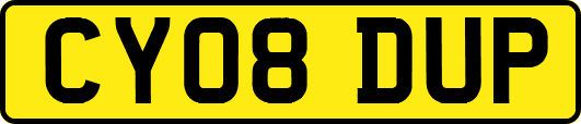 CY08DUP