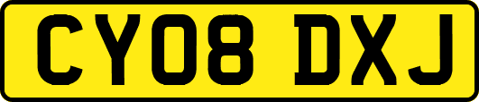 CY08DXJ