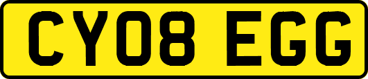 CY08EGG