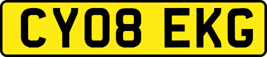 CY08EKG