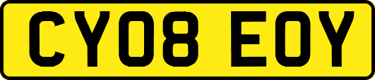CY08EOY