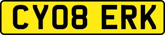 CY08ERK