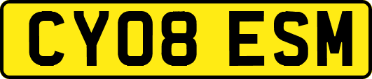 CY08ESM