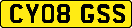 CY08GSS