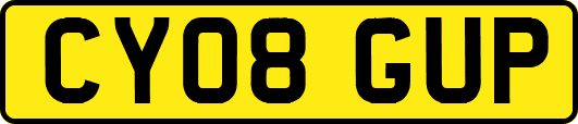 CY08GUP