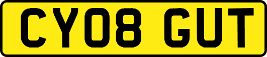 CY08GUT
