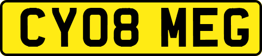 CY08MEG