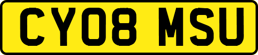 CY08MSU