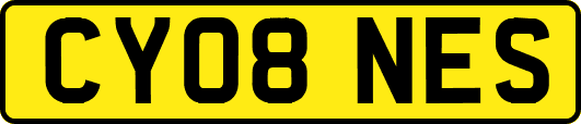CY08NES