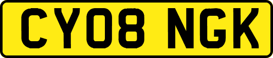 CY08NGK
