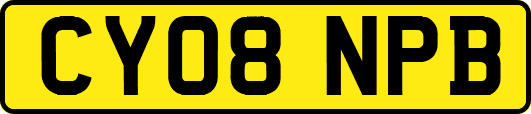 CY08NPB