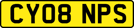 CY08NPS