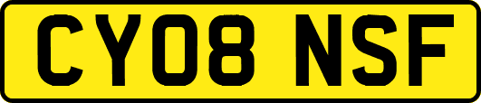 CY08NSF