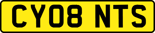 CY08NTS