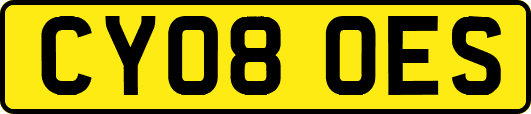 CY08OES