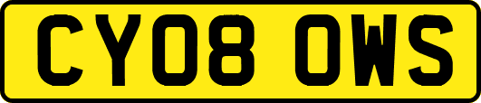 CY08OWS