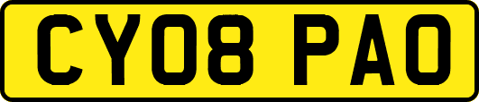 CY08PAO
