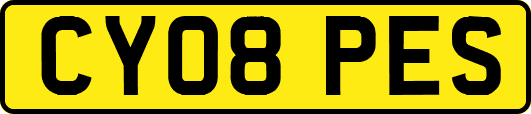 CY08PES