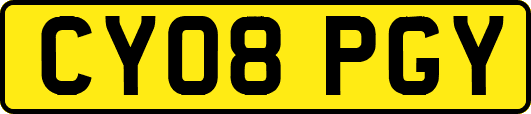 CY08PGY