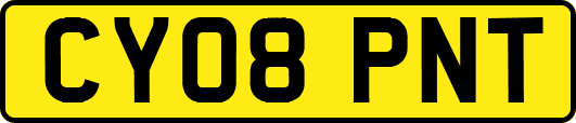 CY08PNT