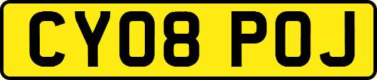 CY08POJ