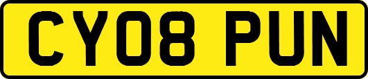 CY08PUN