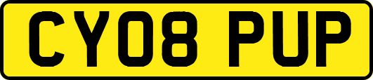 CY08PUP