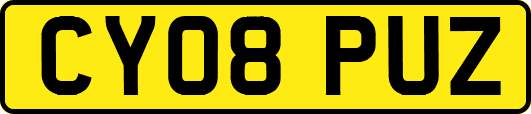 CY08PUZ