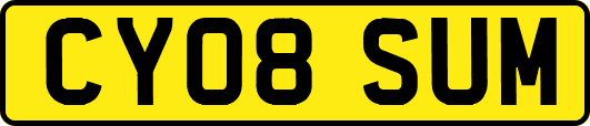 CY08SUM