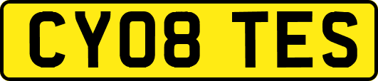 CY08TES