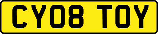 CY08TOY