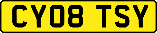 CY08TSY