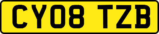 CY08TZB