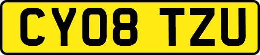 CY08TZU