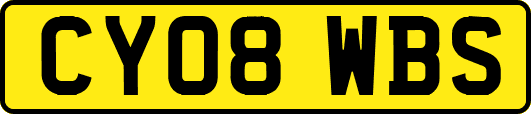 CY08WBS