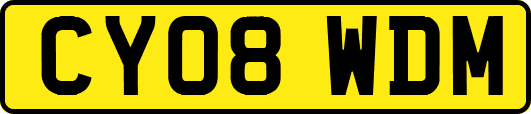 CY08WDM