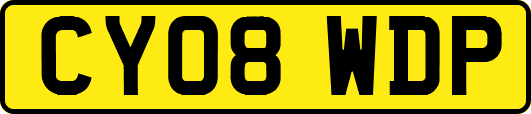 CY08WDP