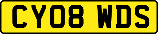 CY08WDS
